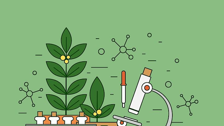 Illustration af biologi